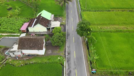 Unrecognizable-person-jogging-on-countryside-road-amid-rice-fields,-Java-aerial