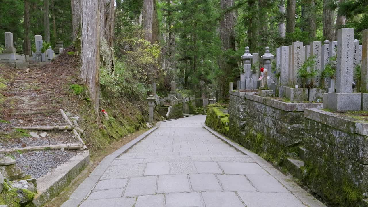 боковой слайдер над дорожкой, ведущей в лес в коясан