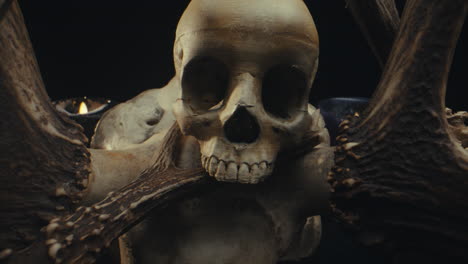skull and antlers