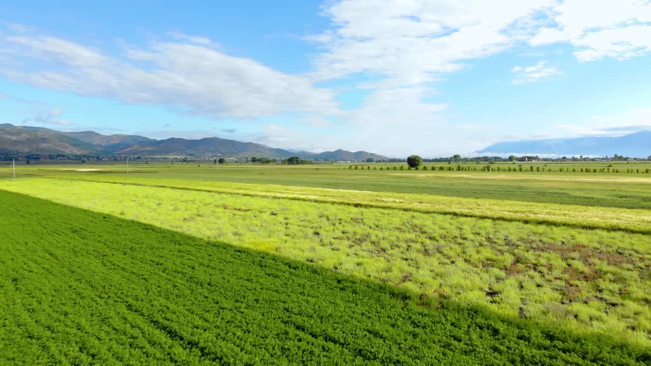 Tierras de cultivo con parcelas plantadas verdes y amarillas en un día soleado con hermoso fondo de cielo nublado