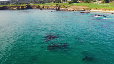 tilt aéreo disparado sobre aguas poco profundas, revelando la playa de guijarros, en la soleada california, estados unidos