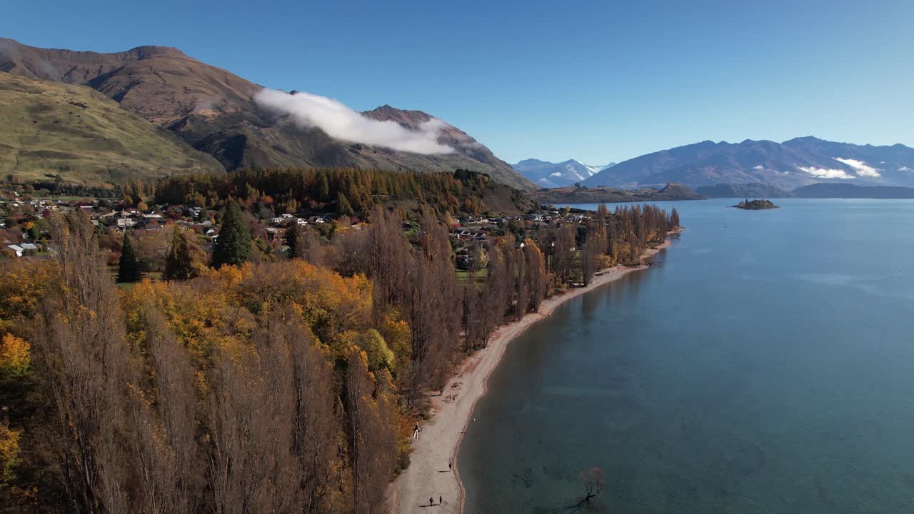 와카 호수 연안 에 있는 공중 드론, 와나카 나무 관광 명소 를 드러낸다
