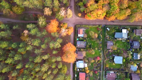 Allotment-gardens-berlin-teufelsberg