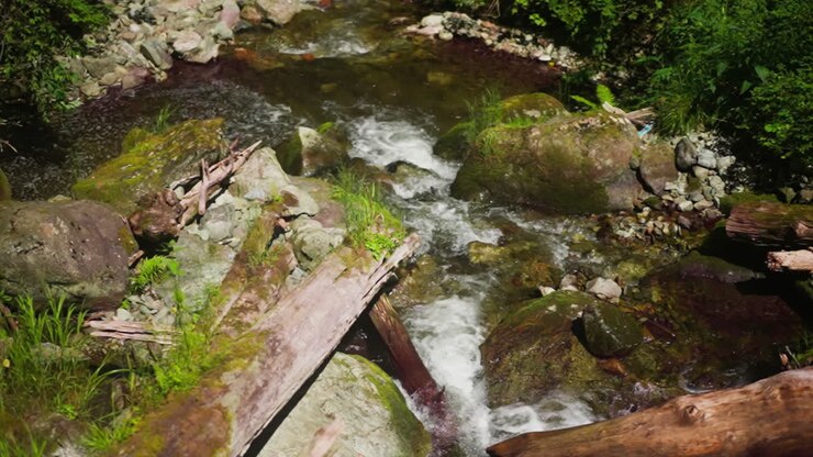 Destroyed ground of wooden logs over mountain river with cascades in deep forest slow motion. Fast shallow creek with foamy waves runs in touristic park