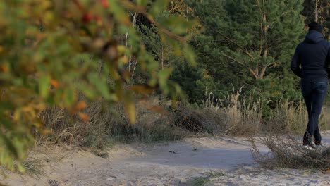 Back-view-of-caucasian-male-exploring-nordic-seaside-forest,-wooden-pathway,-man-walking-alone-in-the-coastal-forest,-sunny-day,-healthy-activity-concept,-yellow-leaves-in-foreground,-medium-shot