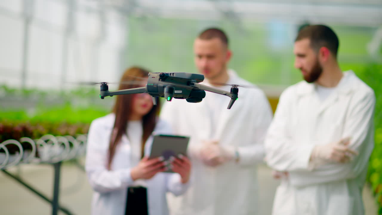 Drone filming three laboratory technicians in white coats working with plants grown with the Hydroponic method in a greenhouse