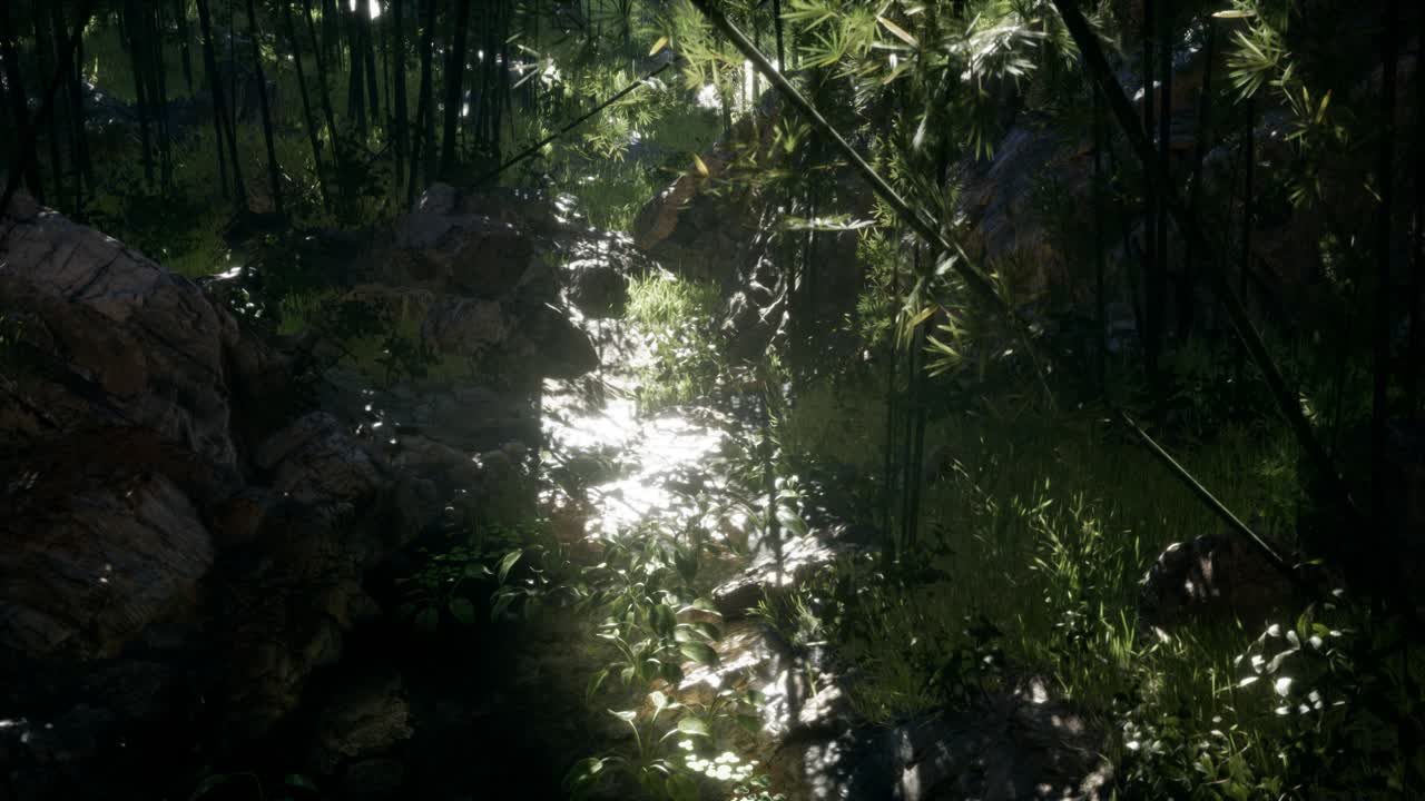 돌이 있는 연못의 연안 근처에 있는 울창한 초록색 대나무 잎.