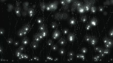 animación de partículas de estrellas brillantes gráficos de movimiento