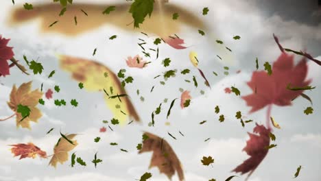 Animation-of-autumn-leaves-floating-against-clouds-in-the-grey-sky