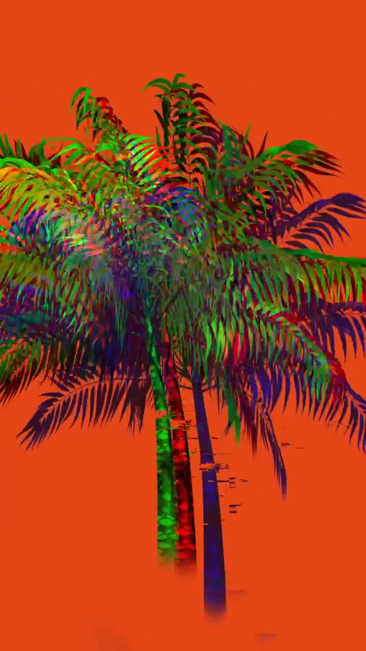 Palma colorata 4K