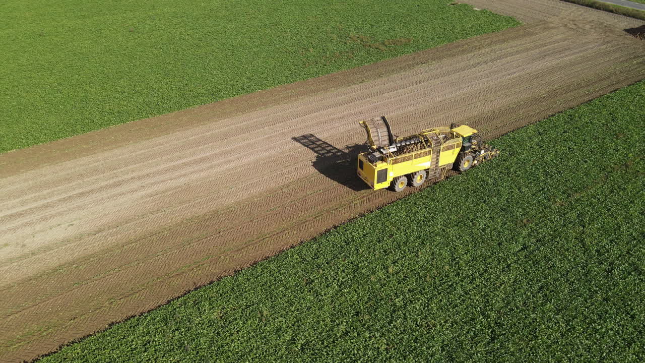 수확 된 줄 과 수확 되지 않은 작물 사이 의 대조 를 보여 주는  에서 일 하는 노란색 비트 수확기 의 공중 사진