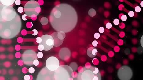animation of dna strands and spots of light on dark background