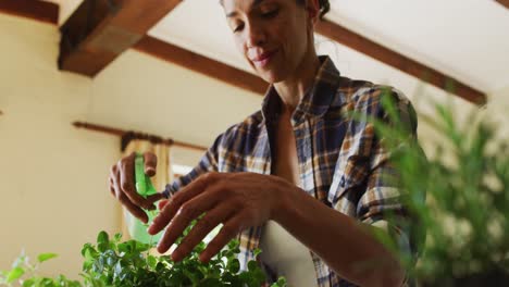 mixed race woman spraying water on plants at home