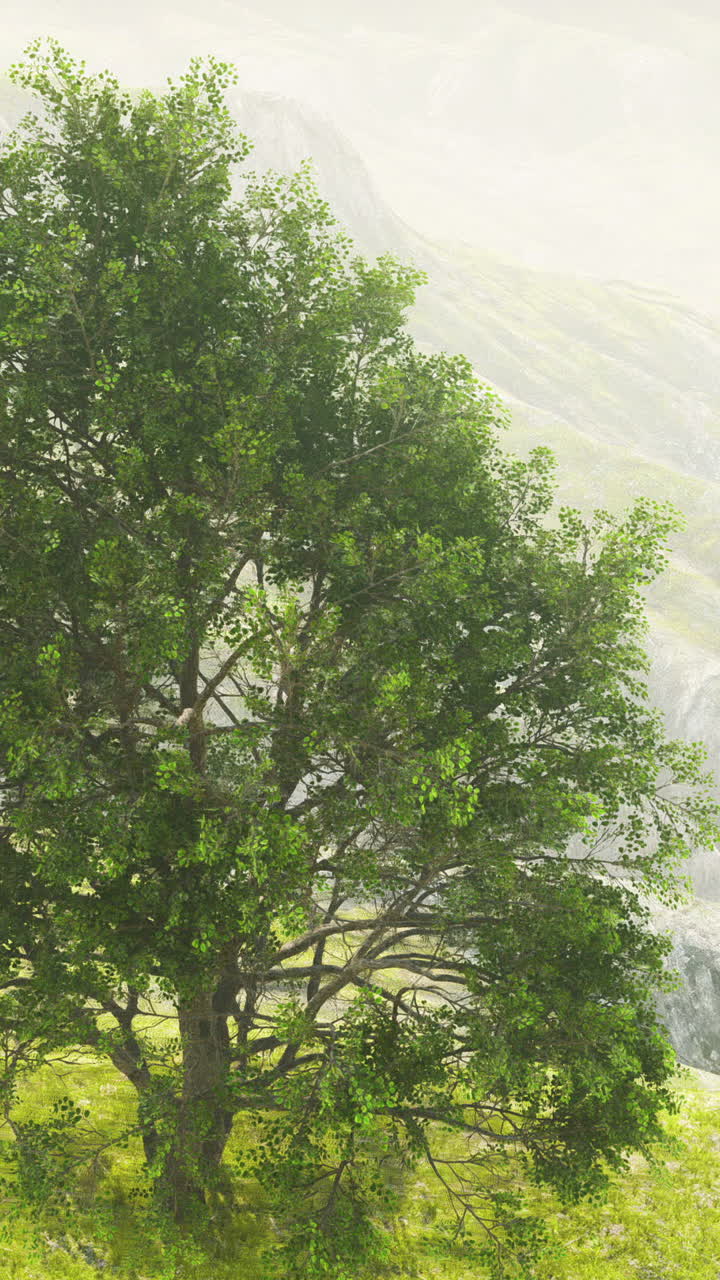 Solitary Tree on a Misty Mountainside