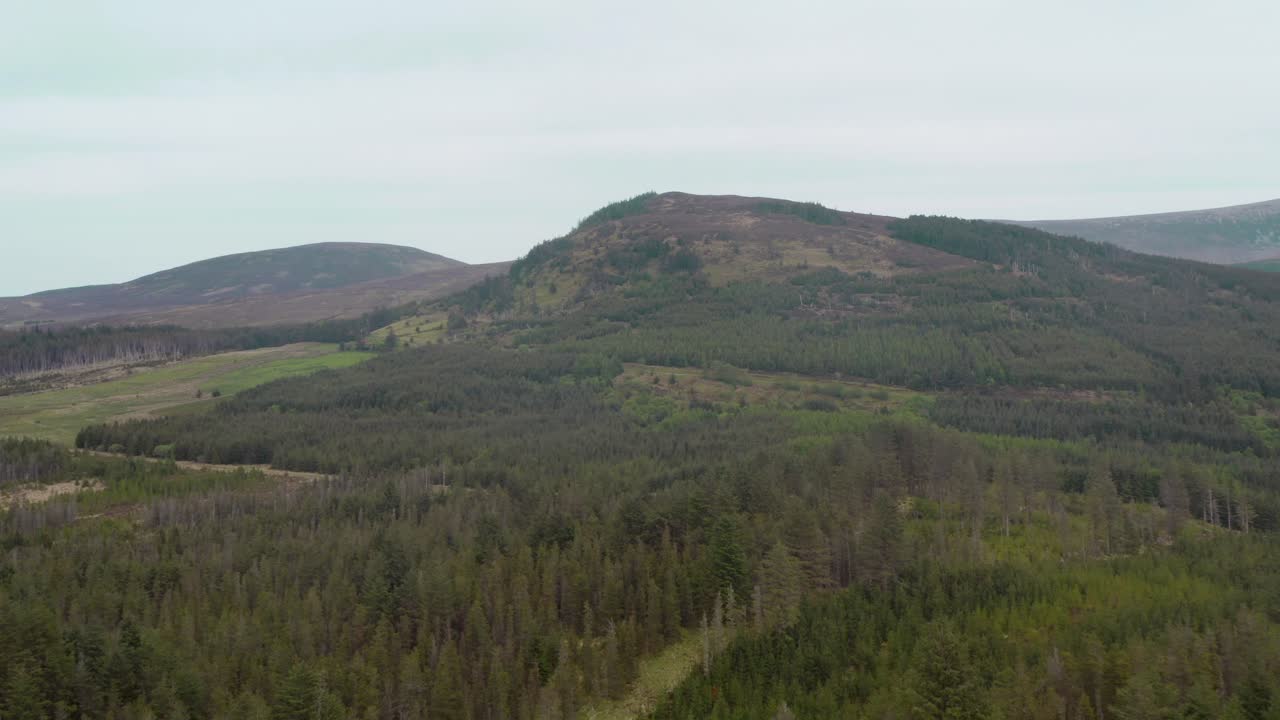 Scenic green pine conifer forest of Wild Nephin National Park, along letterkeen loop ireland