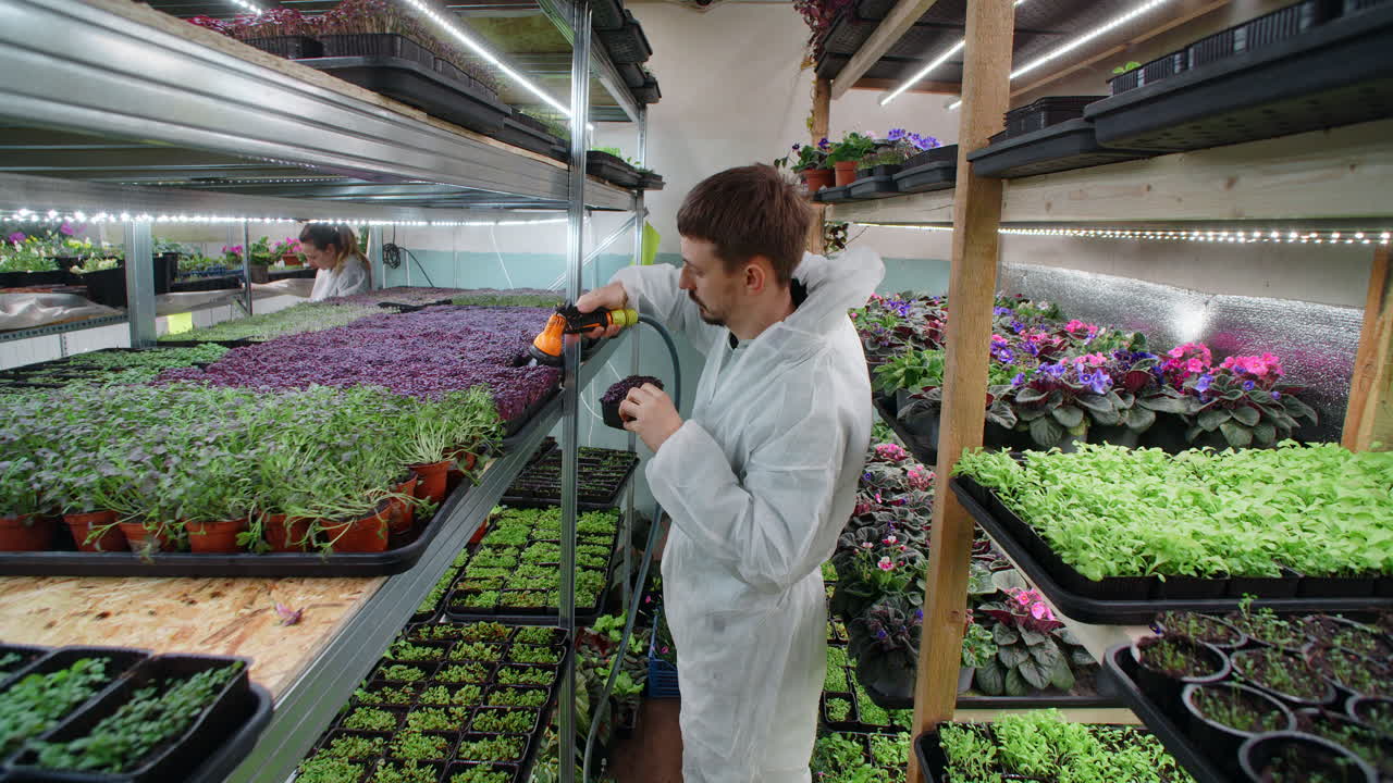 Hydroponic Farming Operation