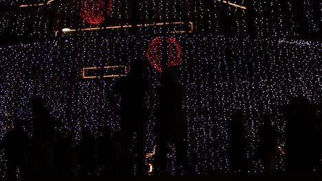 silhouette people in front of huge led illuminated christmas tree