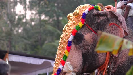 Traditionelles-Elefantenfest-–-Ulsavam-–-Kerala,-Indien,-Traditioneller-Ulsavam-Elefanten-In-Kerala