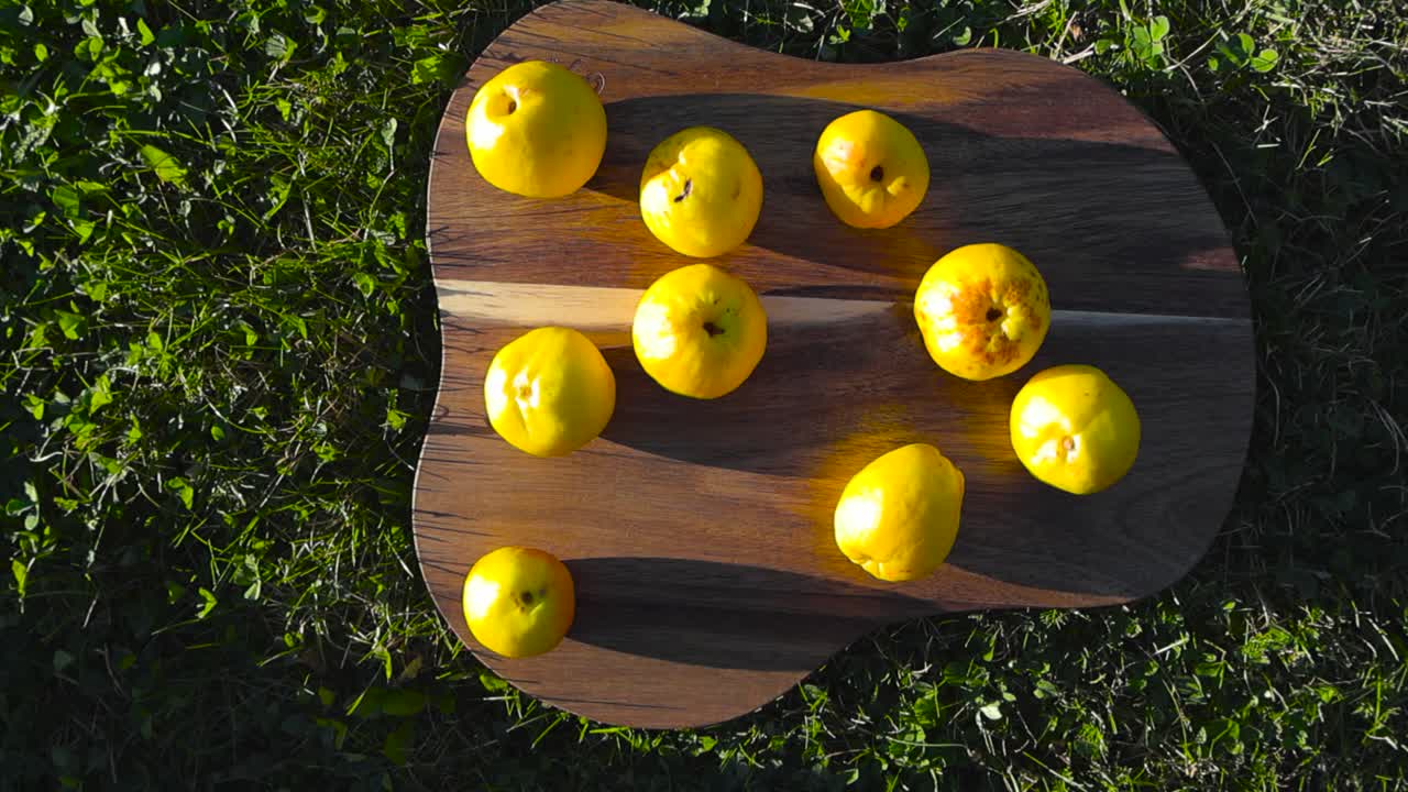 Chaenomeles Japonica or Unquidonia fruit on a walnut brown cutting board placed on green mowed grass or lawn and filmed from above or top view during autumn or summer sunny day, fruit casting shadows.