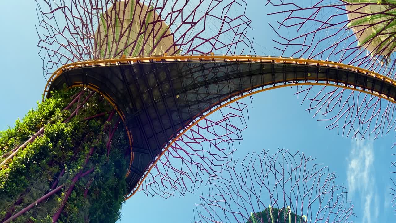 vista diurna de los jardines junto a los superárboles de la bahía en singapur con grandes marquesinas contra el cielo azul brillante