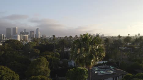 Maravillosa-Toma-Aérea-De-Palmera-Con-Edificios-De-Beverly-Hills-En-El-Horizonte-Durante-La-Puesta-De-Sol