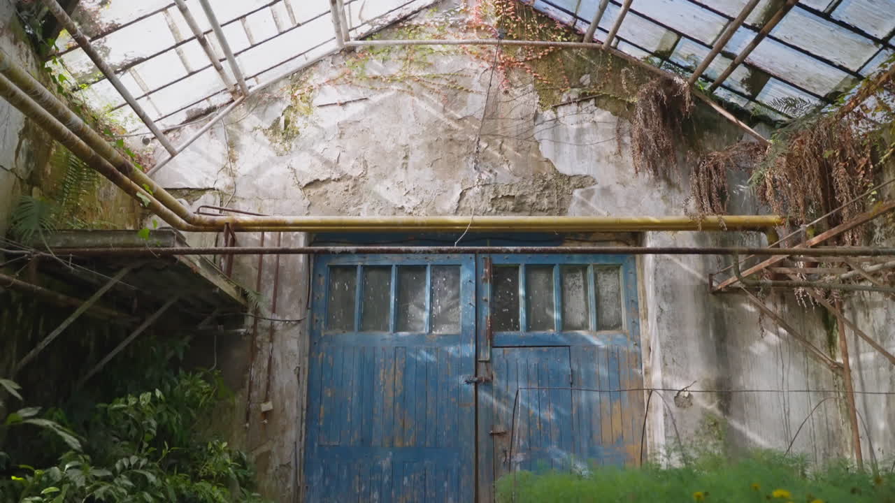 오래된 나무 문과 식물이 있는 버려진 온실