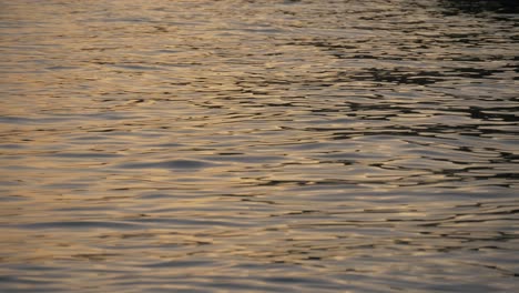 reflections of a sunset on the waves of a lake