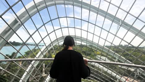 plataforma de jardín botánico turístico sobre el bosque de nubes en singapur