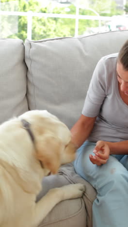 laughing woman playing with her labrador dog on the couch