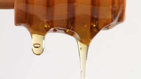 honey dripping from honey dipper on the white background. healthy organic thick honey closeup, sweet honey dessert 4k