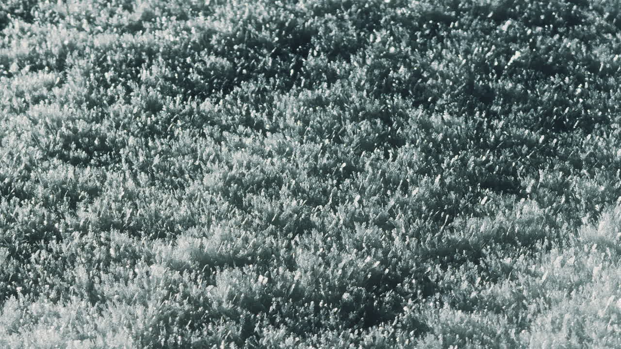 Close-up of snow
