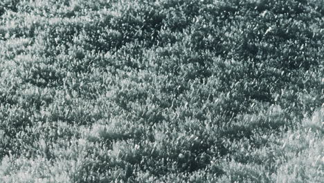 close-up of snow