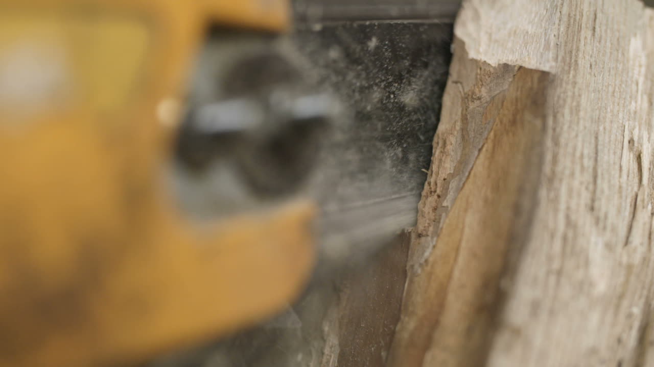 cortando madera con motosierra en cámara lenta 2