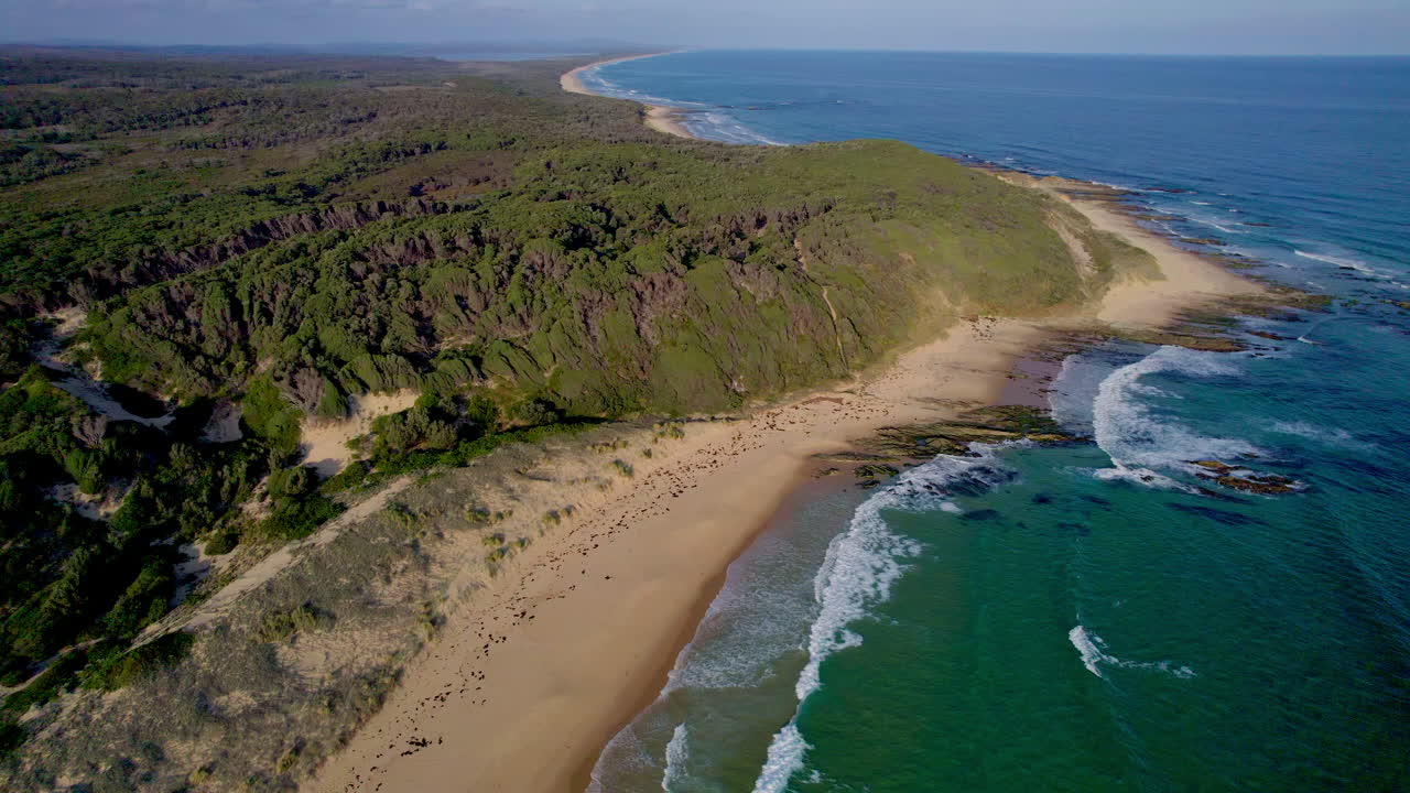 Drone shot of dramatic green cliffs meeting golden sand and clear ocean at Pearl Point, Victoria. Pristine coastline with waves and textured landscape