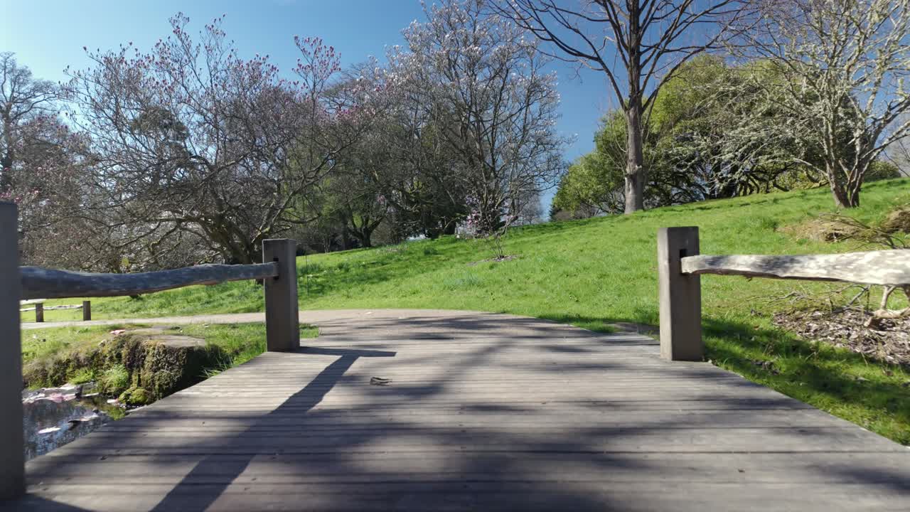 Low angle view of wooden bridge leading into lush spring landscape with blossoms.