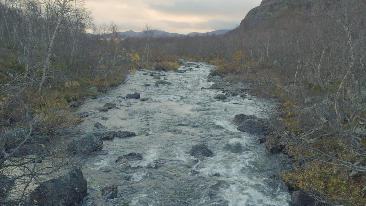 el río fluye en el desierto rodeado de abedules atrofiados