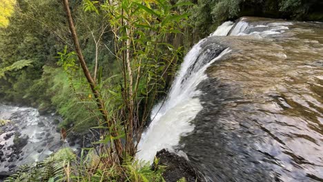 primer plano de la cresta de la cascada que fluye a un arroyo rocoso a continuación en un bosque verde exuberante
