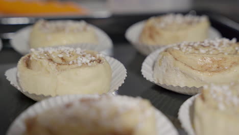 Slow-slide-close-up-of-unbaked-cinnamon-buns-on-a-tray