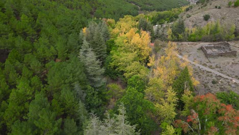 Hausruinen-In-Den-Bergen-Neben-Wald-Im-Herbst