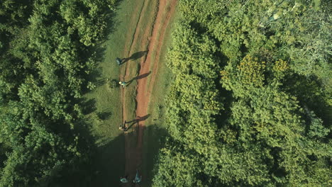 Nice-drone-view-from-above-of-a-group-of-hikers-walking-along-a-country-road-in-the-Mau-Forest,-Rift-Valley,-Kenya