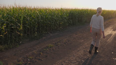 woman walking on a dirt road through a corn field at sunset