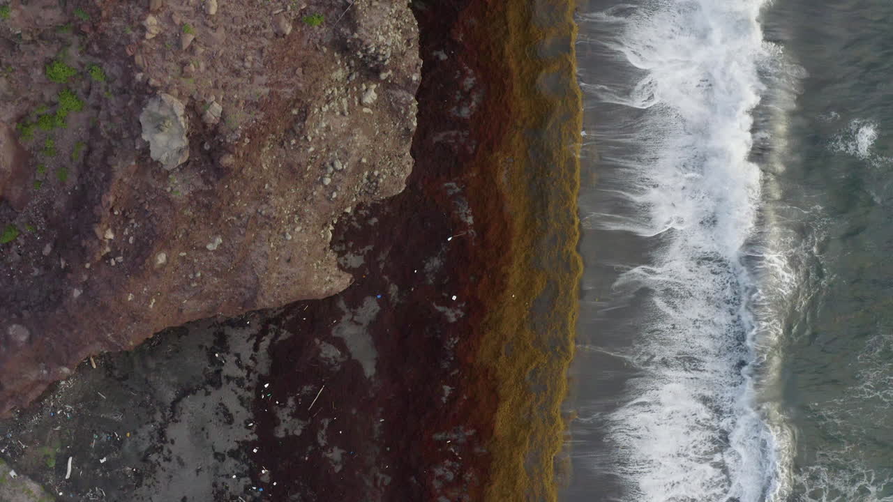 Abandoned Caribbean beach in the early morning. Plan view, smooth pan south along the beach covered in seaweed and its surrounding cliffs. Part 2 of 2.
4K UHD at 23.98 fps.