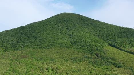 Toma-Aérea-Lenta-Dando-Vueltas-Alrededor-De-Una-Montaña-Cubierta-De-Bosque-Por-La-Tarde