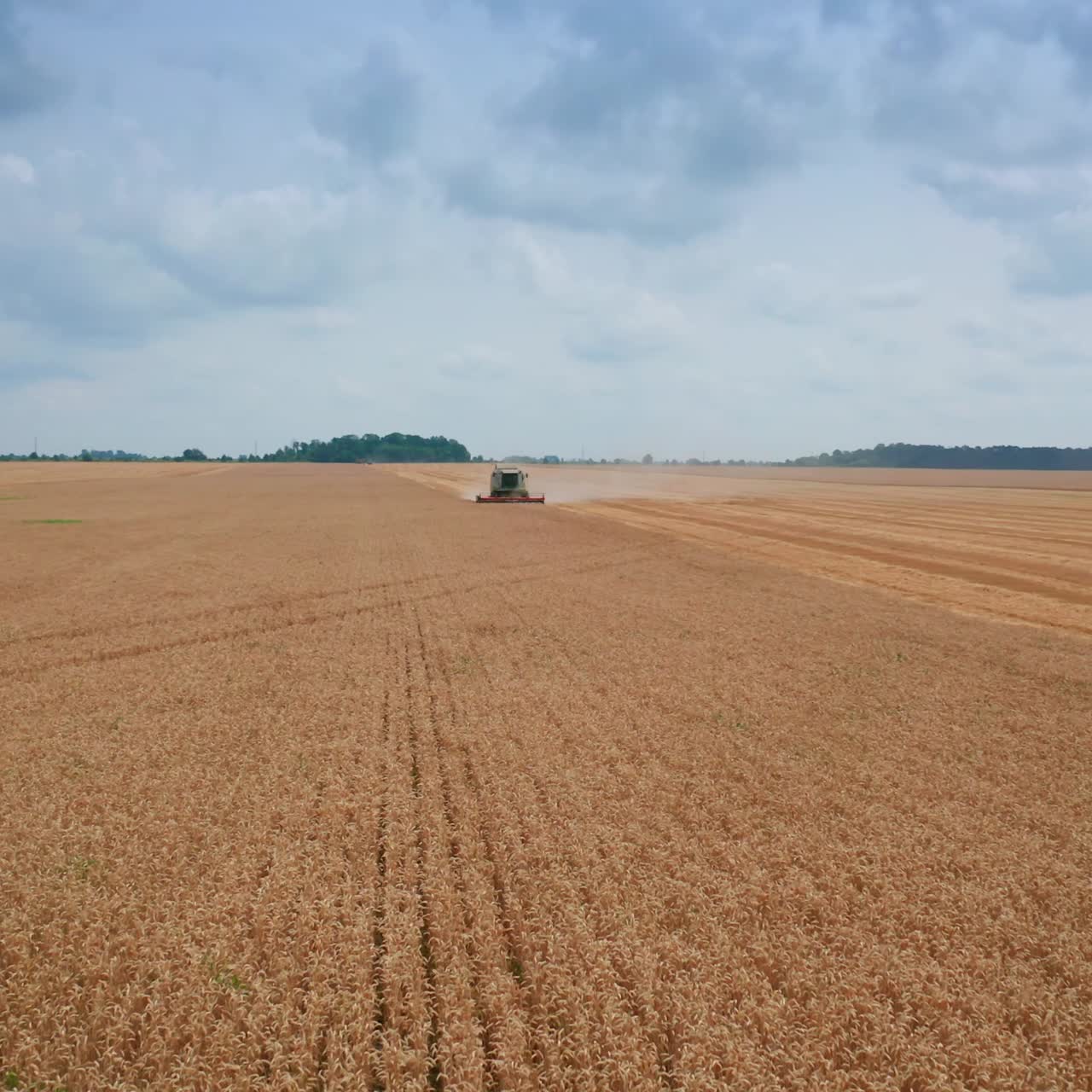 Luftaufnahme von landwirtschaftlichen Nutzflächen. Großer Mähdrescher bei der Getreideernte