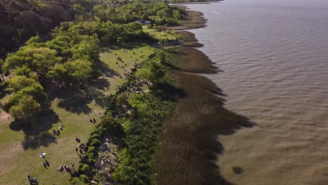 gente relajándose en el parque a lo largo de la orilla del río, buenos aires