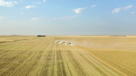 Cosechadoras-Cortando-Canola-En-Un-Campo-Soleado,-Tiro-Largo-De-Drones