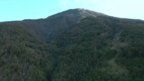 forest growing on side of mount sumbing, aerial drone view