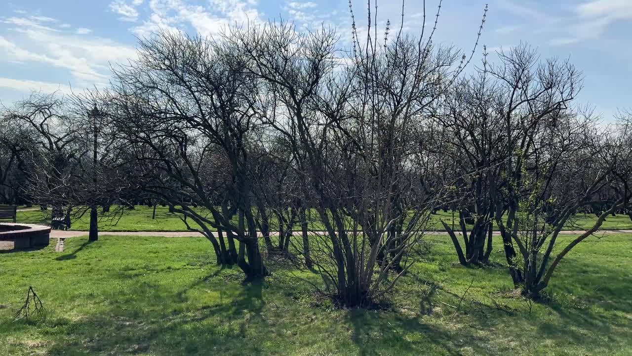 Circular panorama of the city park in early spring