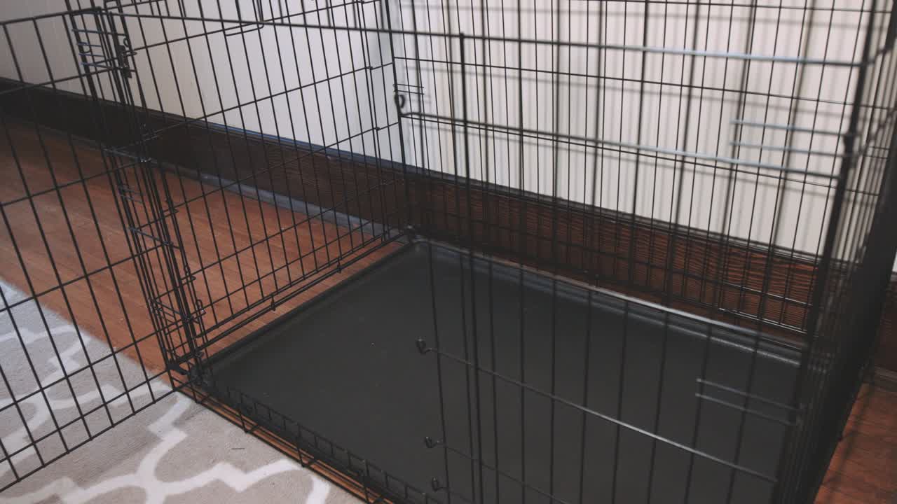 Una grande cuccia vuota per animali in una casa