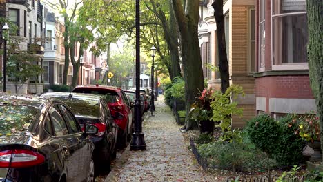 acera de chicago cubierta de hojas de otoño